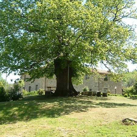 Villa Antico Casale Pozzuolo Seggiano Exterior foto