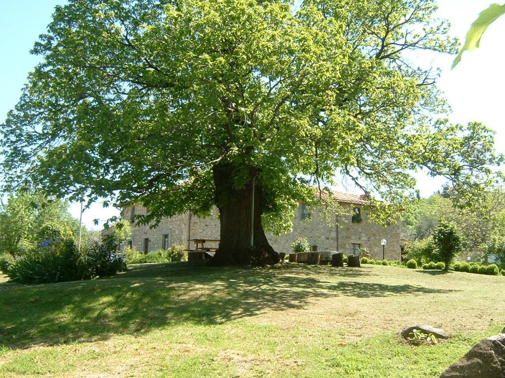 Villa Antico Casale Pozzuolo Seggiano Exterior foto